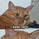 피티필드전포 이미지