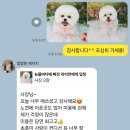 멍보드레 이미지