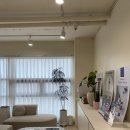 장유상가 관리사무소 | [장유두피관리] 트루스킨 두피스칼핏 후기 주차