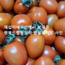 재섭농장 이미지