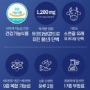 성요셉의원 이미지