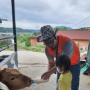 원장목장 이미지