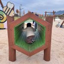 장성어린이공원 | 광주 근교 아이랑 나들이 가볼 만한 곳 장성 황미르랜드 어린이놀이터(주차,꿀팁)