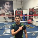 STS BOXING 이미지