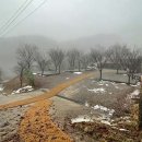 화천 휴 캠핑장 이미지