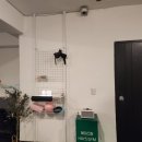 헤이스짐 이미지