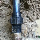 생림농협 하나로마트 이미지