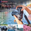 주식회사 비비드 | 캐논 EOS R8 풀프레임 미러리스 카메라 디지털 카메라 추천