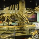 안면도쥬라기박물관 이미지