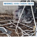 비둘기세탁소 이미지