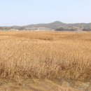 거금도휴게소 이미지