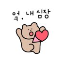 반려견 이해하기(펫) 이미지