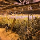 우리돈농장 이미지