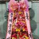 둥이분식 이미지
