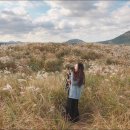 제주언니 이미지