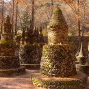 앙코르와트 이미지