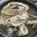 청송능이한방백숙 | 구미 송정 능이한방백숙에서 먹은 복날삼계탕