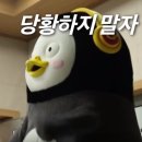 노베이커노베이커스 이미지