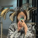 문정 미용실 추천 ‘아이디헤어 문정점’ 전체 염색 후기