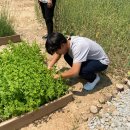 미륵산늘품치유농장 이미지