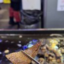 모란시장 부속고기 무한리필 맛집 찐! 후기