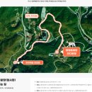 2025댕댕트레킹 시즌에 올려보는 2024댕댕트레킹 솔직히 아쉬웠어_노령견 6KM 완주 하이원리조트 숙박리뷰