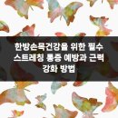 건강에 대한 고민 해결방법 이미지