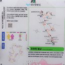 천반산길 이미지