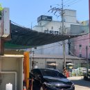 김군광택