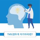 안양 TMS 이미지