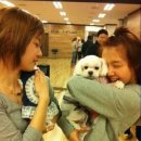 기막힌 개같은 세상 /개 팔자 (犬 八字) 이미지