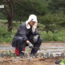 기린종묘사 네이버블로그