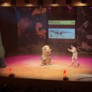 최형배의 과학마술콘서트 이미지