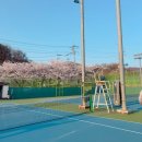 수정로466번길 | 성남시립 양지 테니스장 26년 예약방법 주차 가격 개인레슨 총 정리