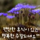 미래요양보호사교육원 이미지