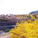 유동로 35 티스토리
