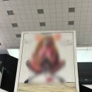 영혼의친구 | [2025.10.18.] 오랜만에 종로 나들이 2 (서울시립미술관 전시 &lt;강령:영혼의 기술&gt; / 영화 웨폰 후기)