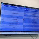 굿모닝영어교실 | 🇦🇺호주 멜번 어학원 2달 다닌 후기(ILSC 어학원의 모든것✨👍)