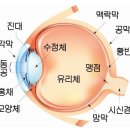 삼육중학교 이미지