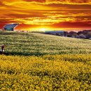 하원농장 이미지