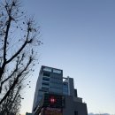 [스마일라식후기] 다음날, 일주일 후 경과보고 내원 : 대구 메트로안과