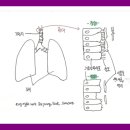 숨케어한의원 이미지