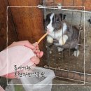 동천목욕탕 | 동천자연식물원 돌아기랑 : 경기도 용인 아기랑 갈만한곳
