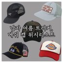 (주)시선바이오머티리얼스 | 여름 트러커 메쉬 캡 추천 : 시원하게 쓰기 좋은 남자 메쉬 볼캡 가성비 여름 모자 위시리스트