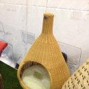 시나르가든 이미지