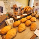 스펀슈가 이미지