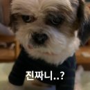 부산헬스보충제 | 프로티원 단백질 쉐이크 내돈내산 후기｜식사 대용으로 먹어본 솔직 리뷰