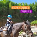 고흥 남도에서 한달살기 지자체 지원사업 선정 꿀팁(지원서,여행코스)