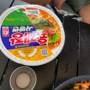 코리엔탈깻잎두마리치킨(안성공도점) | 여름의 울창한 숲 캠핑 그리고 우중 캠핑 🍃 경주 문복산 캠핑장 (D5사이트)