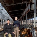 병오농장 이미지